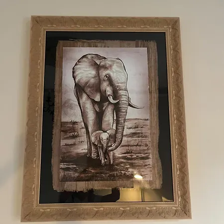 L'elefante Saggio Meditation Guest house 3*