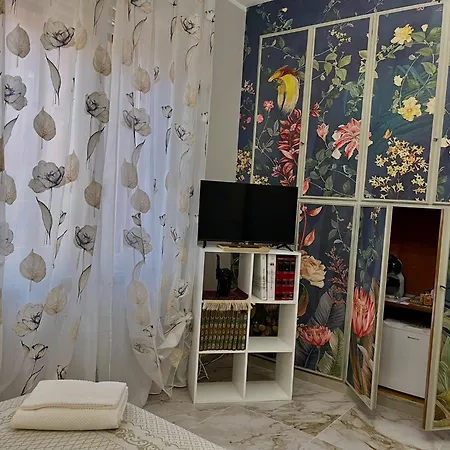 L'elefante Saggio Meditation Guest house 3*